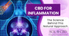 CBD for Inflammation: The Science Behind this Natural Approach