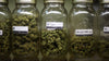 Cartels & Marijuana Legalization - SOL✿CBD