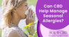 CBD For Allergies: Can CBD Help Manage Seasonal Allergies