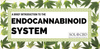 A Brief Introduction to the Endocannabinoid System - SOL✿CBD