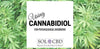 Antipsychotic Potential of Cannabidiol Revealed - SOL✿CBD