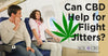 CBD, Anxiety Relief, and Your Next Flight - SOL✿CBD