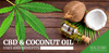 CBD & Coconut Oil: Uses and Benefits That Will Surprise You - SOL✿CBD