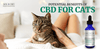 CBD for Cats—Dosage & Potential Benefits - SOL✿CBD