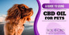 CBD Oil for Your Pet? 6 Reasons That Will Make You Say Yes - SOL✿CBD
