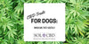 CBD Treats for Dogs: When Are They Useful? - SOL✿CBD