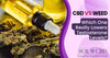 CBD vs. Weed: Which One Really Lowers Testosterone Levels? - SOL✿CBD