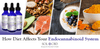 How Diet Affects Your Endocannabinoid System - SOL✿CBD