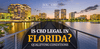 Is CBD Legal in Florida? - SOL✿CBD