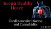 Keep a Healthy Heart: Cardiovascular Disease and Cannabidiol - SOL✿CBD