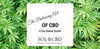 The Balancing Act of CBD & Your Immune System - SOL✿CBD