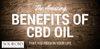 The Benefits of CBD Oil You Probably Didn't Know - SOL✿CBD