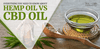 The Underlying Difference Between Hemp Oil Vs CBD Oil - SOL✿CBD