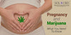 Troubling Results from Studies on Marijuana and Pregnancy - SOL✿CBD