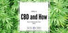 What is CBD and How Does It Work with Your Body - SOL✿CBD