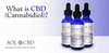 What is CBD (Cannabidiol)? - SOL✿CBD