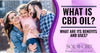 What Is CBD Oil and What Makes It so Popular Today? - SOL✿CBD