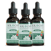 Pet CBD Tincture - 3 PACK