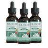 Load image into Gallery viewer, Pet CBD Tincture - 3 PACK