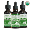 Organic CBG + CBD Oil Tincture - Mint - 3 PACK