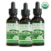 Load image into Gallery viewer, Organic CBG + CBD Oil Tincture - Mint - 3 PACK