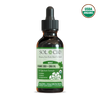 Organic CBG + CBD Oil Tincture - Mint