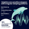 Dolphin Chronotype